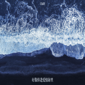 中国一级毛卡片
