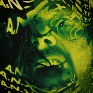 中国一级毛卡片
