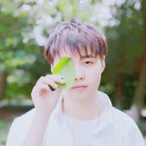 中国一级毛卡片
