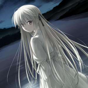 中国一级毛卡片
