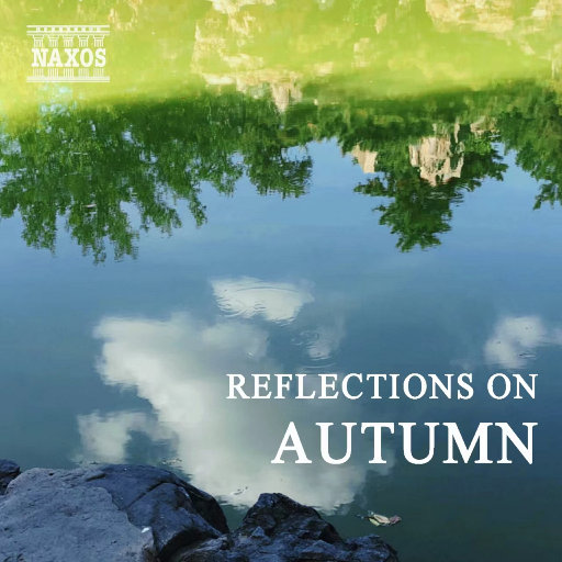 中国一级毛卡片
